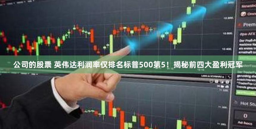 公司的股票 英伟达利润率仅排名标普500第5！揭秘前四大盈利冠军